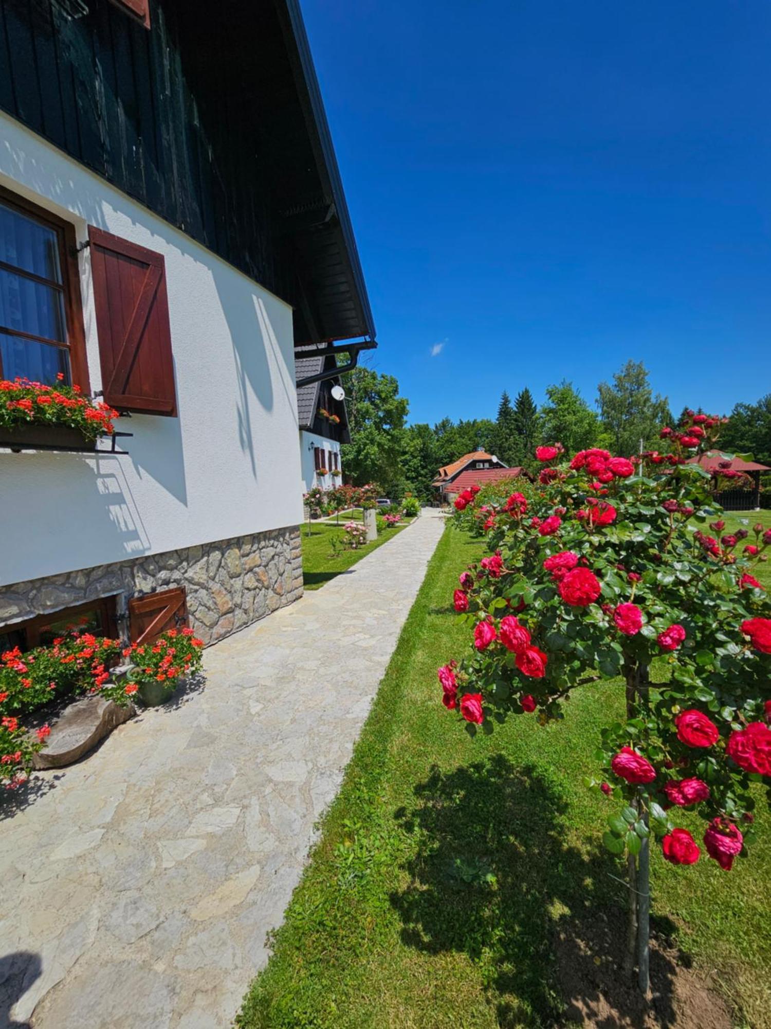 Pansion Breza Hotel Plitvicka Jezera Luaran gambar